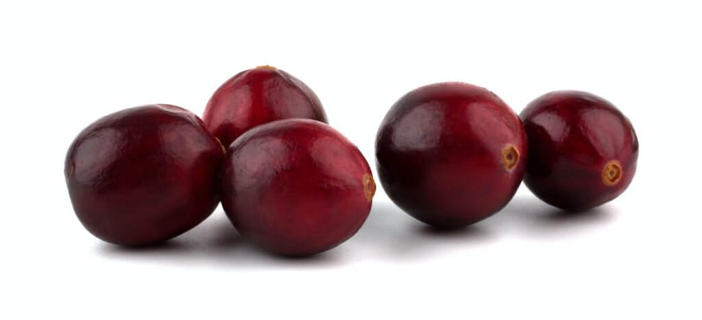 Cranberries on white background