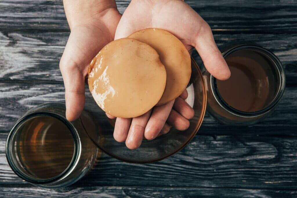 top view of bottled tea and kombucha mushrooms in hands