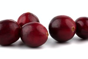 Cranberries on white background